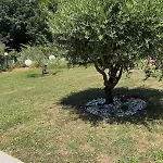 Holiday home Private House With Car Park At Nemi